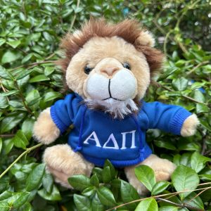Hoodie Alphie