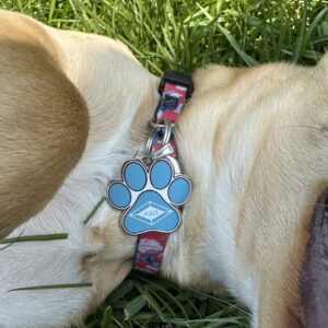 Dog Collar Charm