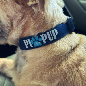 Pi Pup Dog Collar